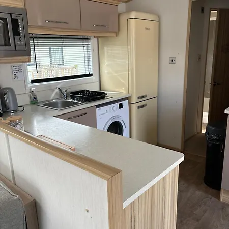 Apartment Squirrel *