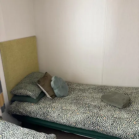 Squirrel Apartment *