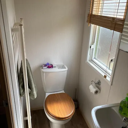 Squirrel Carlisle (Cumbria)