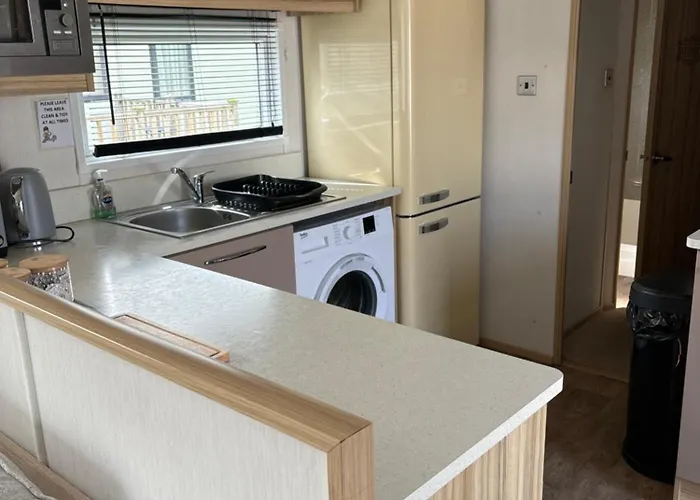 Apartment Squirrel *