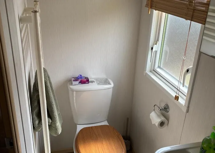 Squirrel Carlisle (Cumbria)