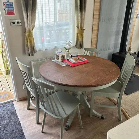 Squirrel * Carlisle (Cumbria)